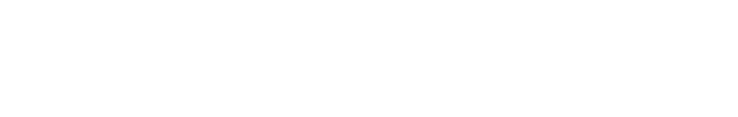 logo papuaonline.id